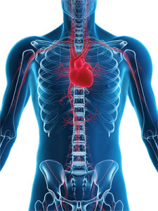 Abdominal Aortic Aneurysm